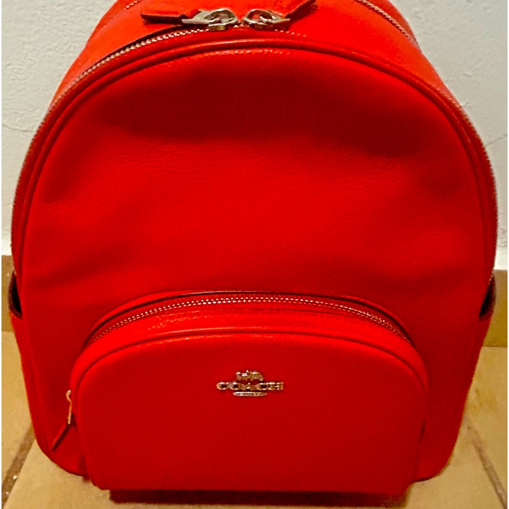 Cute Large Coach Leather backpack